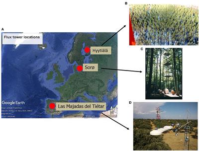 Dynamic relationships between gross primary production and energy partitioning in three different ecosystems based on eddy covariance time series analysis
